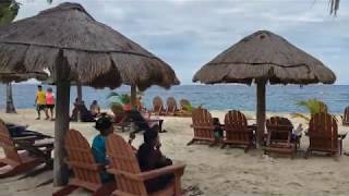 🐬 Chankanaab Beach Adventure Park  Cozumel Mexico  Snorkeling  Ultimate Tour [upl. by Durand]