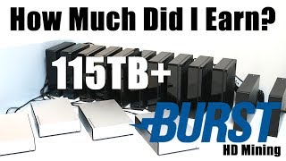 How Much Did I Earn In June 115TB Burstcoin HardDrive Mining Rig [upl. by Cedric]