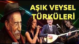 AŞIK VEYSEL TÜRKÜLERİ türküler aşıkveysel halkozanları [upl. by Eidnahs]