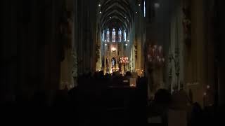 Cathedral st Jan Den Bosch [upl. by Pfeffer]