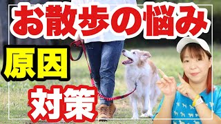 【犬 お散歩の悩み】引っ張る・歩かない 原因と対策を知ってトレーニングしましょう！ [upl. by Michaud]