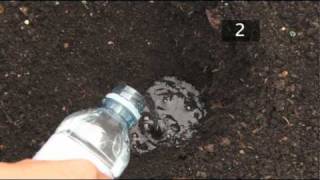 How To Test Soil PH [upl. by Eiramoj29]