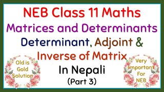 Class 11 Maths  Matrices and Determinants Part 3  Determinant Adjoint and Inverse of Matrix [upl. by Calvinna136]