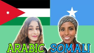 Similarities Between Arabic and Somali [upl. by Olympe]