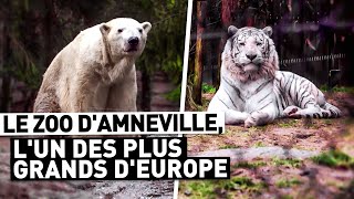 LE ZOO DAMNEVILLE LUN DES PLUS GRANDS DEUROPE [upl. by Donadee]