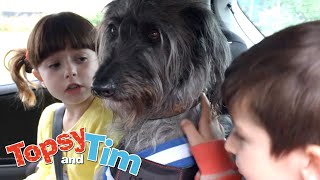 Lost keys amp Dog day  Topsy amp Tim Double episode 105106  HD Full Episodes  Shows for Kids [upl. by Inait]