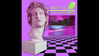 Macintosh Plus  リサフランク420  現代のコンピュー  Mr Introvert Remix [upl. by Marilin]