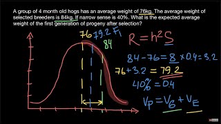 How to calculate Response to Selection [upl. by Edaw375]