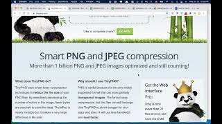 Using TinyPNG – Compress PNG images while preserving transparency [upl. by Filiano633]