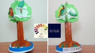 Life Cycle Of A Butterfly Model  Metamorphosis in Butterfly  Students 3D Project  The4Pillars [upl. by Einiffit952]