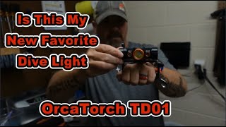 OrcaTorch TD01 Dive Light Full In Depth Review [upl. by Wiersma]