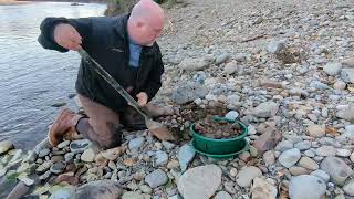 Western Washington Gold Prospecting  Clark County [upl. by Avron687]