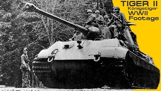 Tiger II quotKönigstigerquot WW2 Footage [upl. by Tihw]