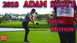 2018 ADAM SCOTT DTL SLOW MOTION DRIVER GOLF SWING 1080 HD [upl. by Howlend830]