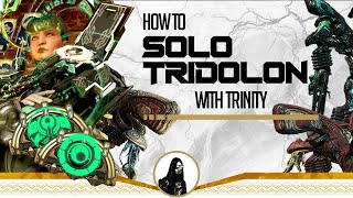 Warframe Guides How an Old Player Solos Tridolon in 2025 like its 2018 [upl. by Ahseekal588]