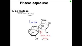 Présentation du lait [upl. by Trude184]