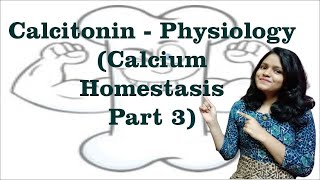 Calcitonin Physiological actions I Calcium homeostasis 3 I Endocrine Physiology [upl. by Ewold]