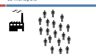 Comment les marchés imparfaits fonctionnentils [upl. by Lennor302]