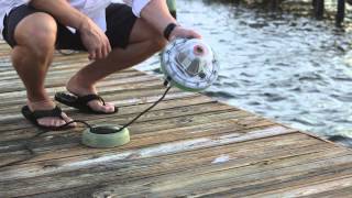 Aqua Dock Lights  Ultimate Underwater LED Dock Light [upl. by Neoma]