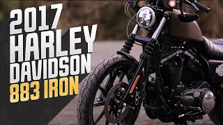 Harley Davidson 883 Iron  Cinematic Clip [upl. by Colligan]