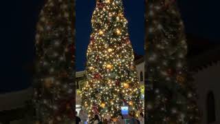 STUNNING CHRISTMAS LIGHT AT DISNEY SPRINGS [upl. by Yerhcaz443]