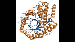 Amylase  Dictionnaire français audio [upl. by Aohsoj860]