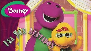 Barney  Usa Tus Sentidos Con Barney Completo [upl. by Caryn]