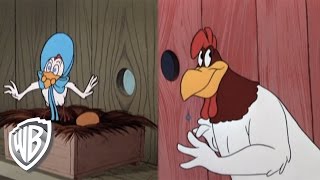 Looney Tunes  A Broken Leghorn [upl. by Sedicla96]