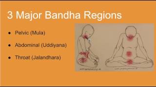 Yoga Bandhas Introduction [upl. by Laurette]