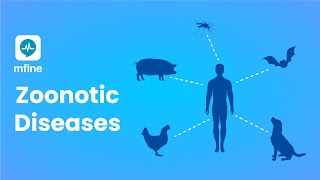 Zoonotic Diseases  Diseases that are Passed from Animals to Humans  MFine [upl. by Alebasi689]