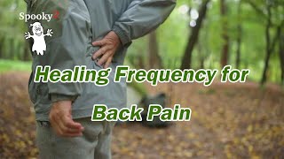 Healing Frequency for Back Pain  Spooky2 Rife Healing Frequency [upl. by Steffi233]