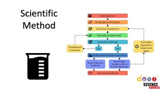 The Scientific Method Steps and Examples [upl. by Hagerman]