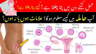 How To Know You Are Pregnant Pregnancy Ka Kaise Pata Chalta Hai  Pregnancy test  implantation [upl. by Ruder]