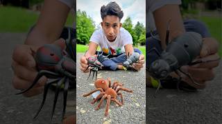 Three Remote Control Spider And Giant Ant Unboxing🔥🕷 [upl. by Dori]