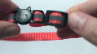 How to adjust cat collars reflective [upl. by Eivi468]