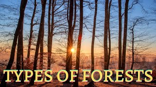 Types of Forests  World  Tropical Forest Deciduous Forest and other types of Forest  Details [upl. by Cara]