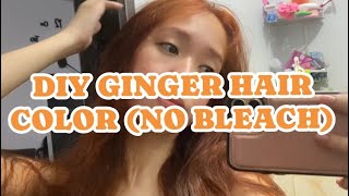 How to Achieve an Easy Ginger Hair Color A DIY Guide  Stephyannie [upl. by Kciremed]