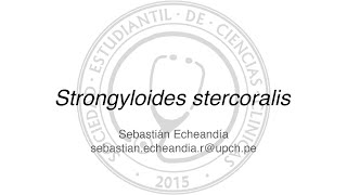 Strongyloides stercoralis [upl. by Anyah232]