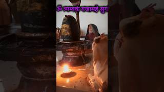 महामृत्युंजय मंत्र Mahamrityunjaya Mantra jap fast mahamrityunjayamantra mahamrityunjaymantra 🙏🏼🕉🌹 [upl. by Wolsniw165]