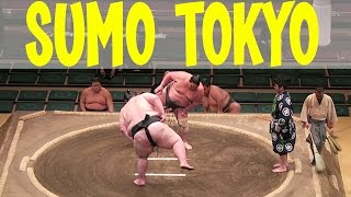 SUMO WRESTLING Tournament  Tokyo Japan [upl. by Oehsen582]