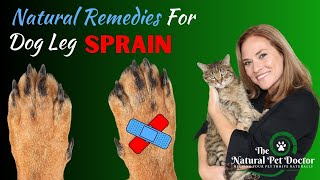 Natural Remedies for Dog Leg Sprains  Natural Pain Relief [upl. by Helm]