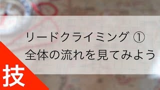 リードクライミング ①｜まずは一連の流れを見てみよう！ [upl. by Treblig]