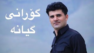 بەرهەم شەمامی ئەو گۆرانییەی تیکتۆکی هەژاند گیانە  Barham Shamami Gorani Geyana [upl. by Golanka]