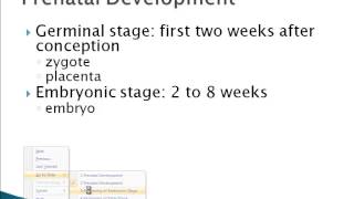 Psychology 101 Prenatal Development [upl. by Celka]