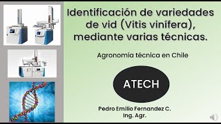 Identificación de variedades de vid Vitis vinifera por media de varias técnicas ATECH [upl. by Akkin]