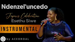 Ndenzele uncedo  Esethu Siwe  INSTRUMENTAL Covered by ACEOROAL [upl. by Aket]