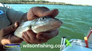 How to catch whiting [upl. by Lienad]