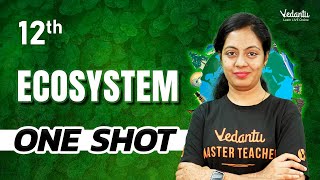 Ecosystem ONESHOT  Class 12 Biology  CBSE 2024 🔥 Nivetha maam [upl. by Japheth634]