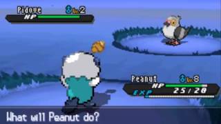 Pokemon BlackWhite 2 Walkthrough Part 2 Waka Flocka Floccesy [upl. by Noakes501]