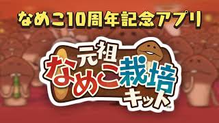 『元祖 なめこ栽培キット』PV（2021年6月30日配信開始） [upl. by Oflodor969]